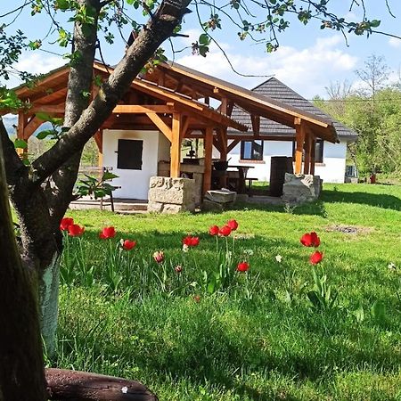Willa Casa Livada Bunicii Tîrgu Ocna Zewnętrze zdjęcie
