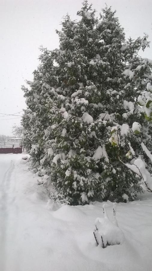 Willa Casa Livada Bunicii Tîrgu Ocna Zewnętrze zdjęcie
