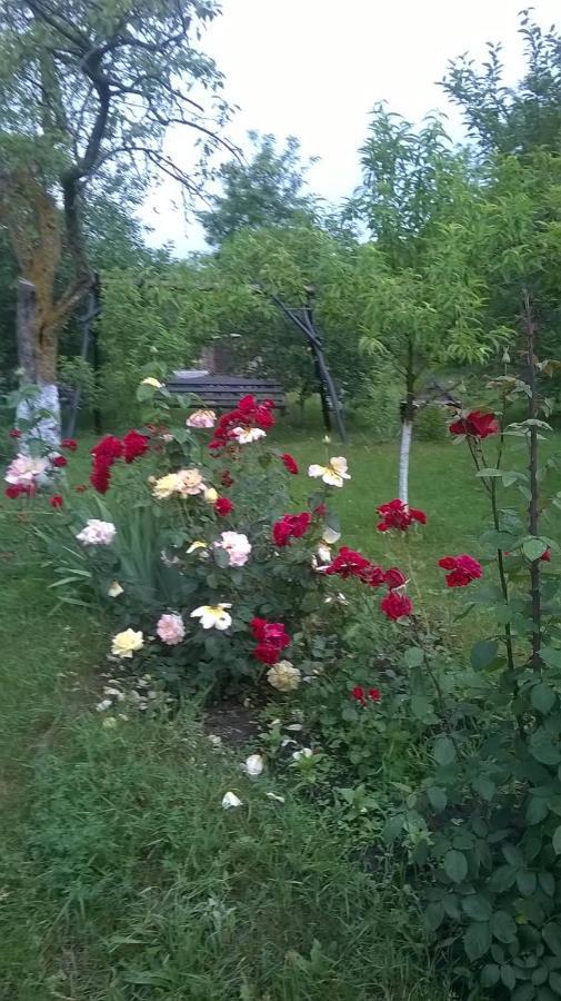 Willa Casa Livada Bunicii Tîrgu Ocna Zewnętrze zdjęcie