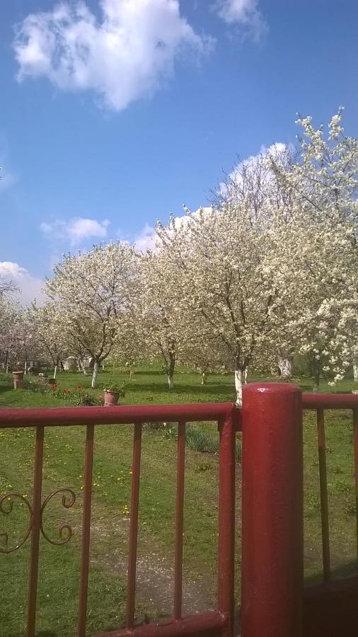 Willa Casa Livada Bunicii Tîrgu Ocna Zewnętrze zdjęcie