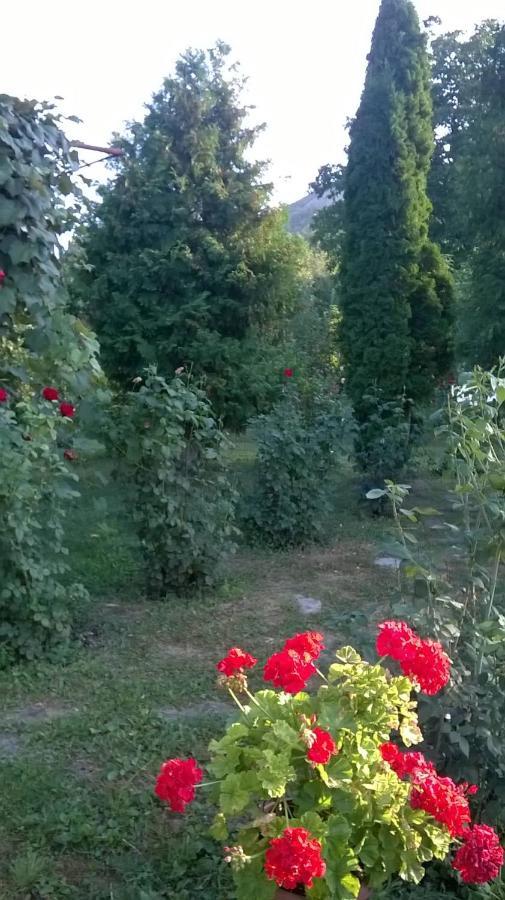Willa Casa Livada Bunicii Tîrgu Ocna Zewnętrze zdjęcie