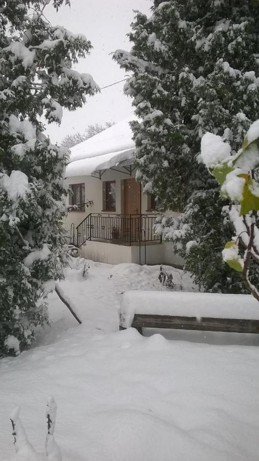 Willa Casa Livada Bunicii Tîrgu Ocna Zewnętrze zdjęcie