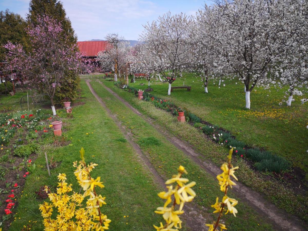 Willa Casa Livada Bunicii Tîrgu Ocna Zewnętrze zdjęcie