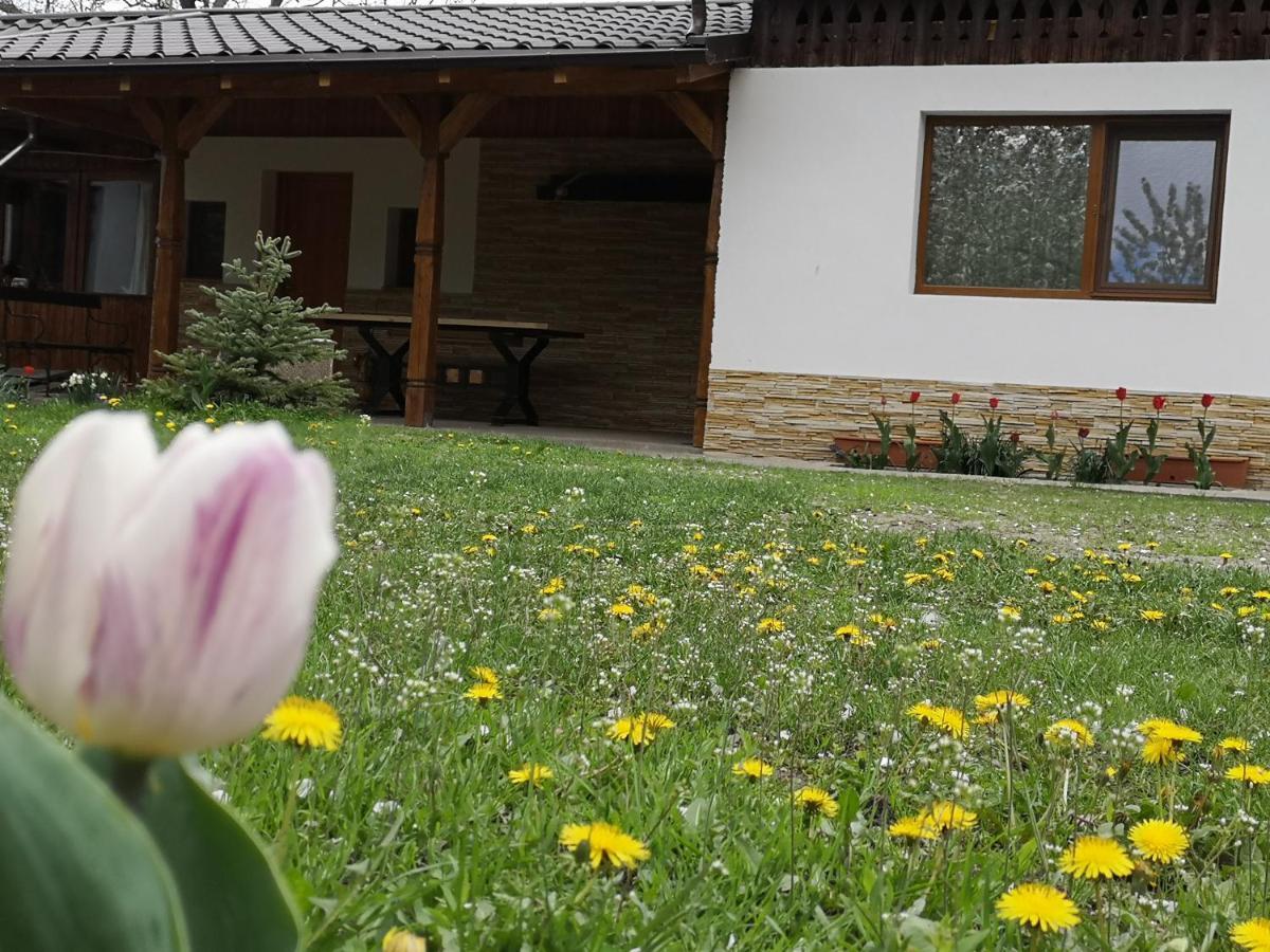 Willa Casa Livada Bunicii Tîrgu Ocna Zewnętrze zdjęcie