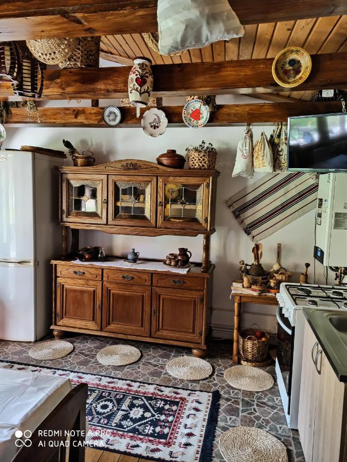 Willa Casa Livada Bunicii Tîrgu Ocna Zewnętrze zdjęcie