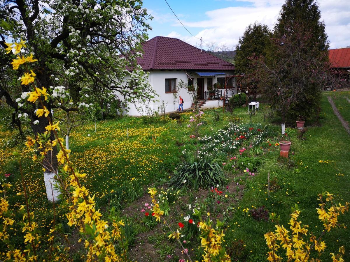 Willa Casa Livada Bunicii Tîrgu Ocna Zewnętrze zdjęcie