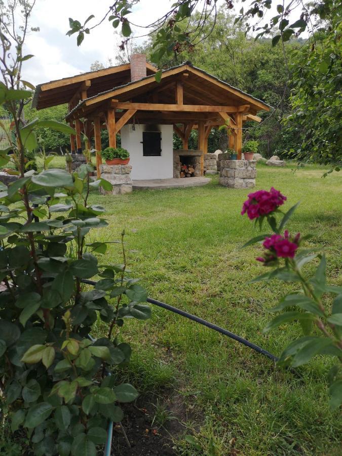 Willa Casa Livada Bunicii Tîrgu Ocna Zewnętrze zdjęcie