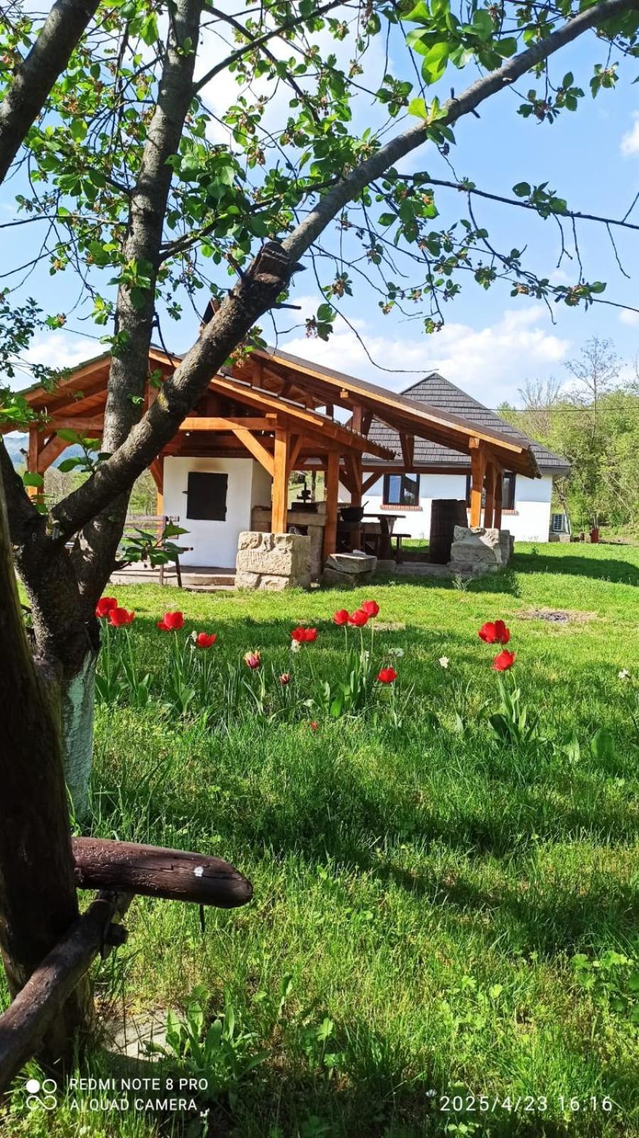 Willa Casa Livada Bunicii Tîrgu Ocna Zewnętrze zdjęcie